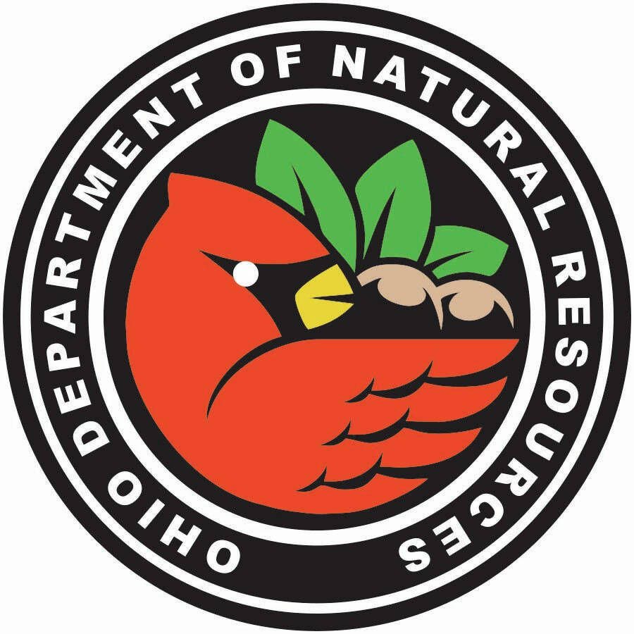 Red Fox  Ohio Department of Natural Resources